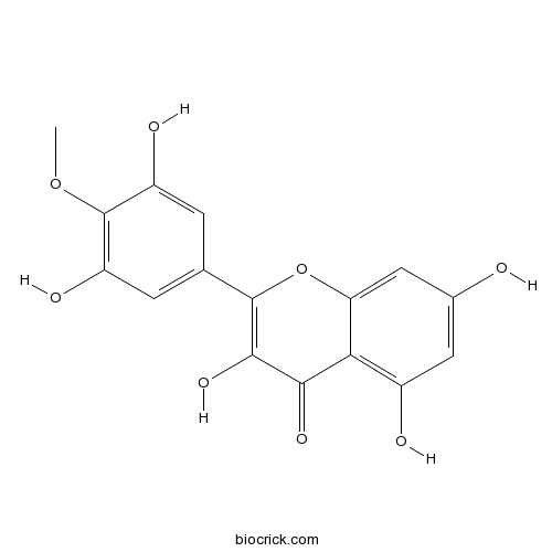 Mearnsetin