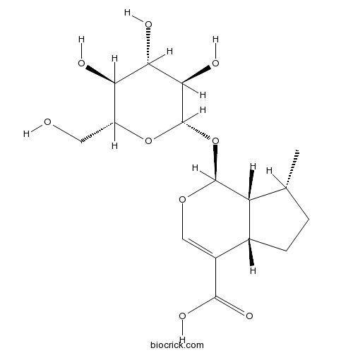 8-Epideoxyloganic acid