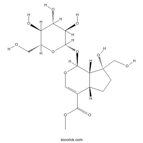 Splendoside