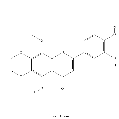 毒马草黄酮