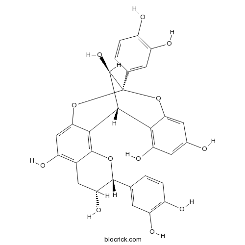 Procyanidin A2