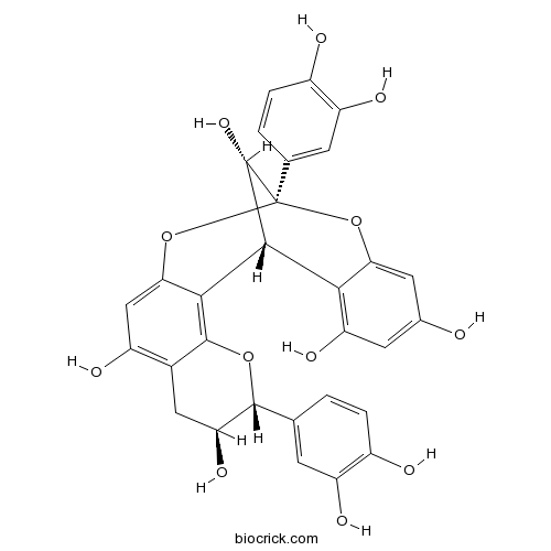 Procyanidin A1