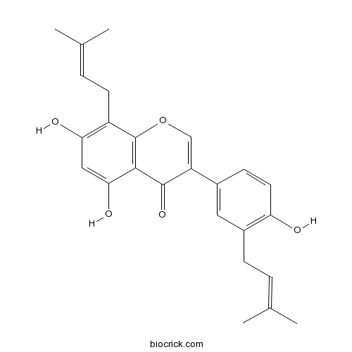 Isolupalbigenin