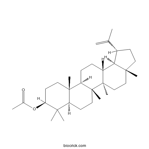 Lupeol acetate