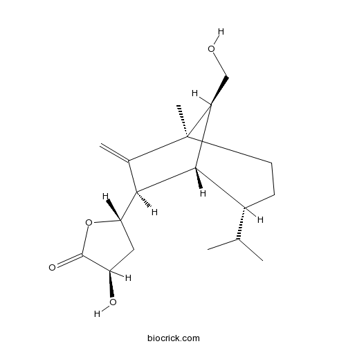 Sorokinianin