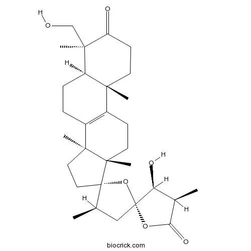 Scillascillone