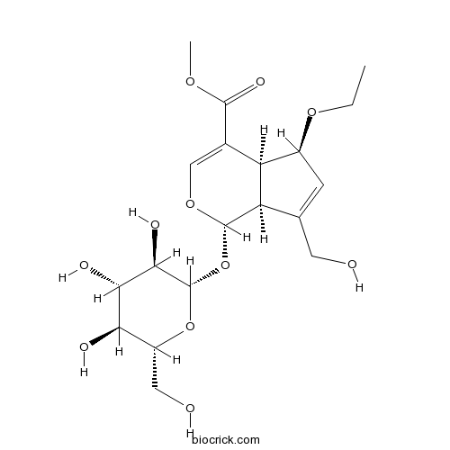 6-乙氧基京尼平苷