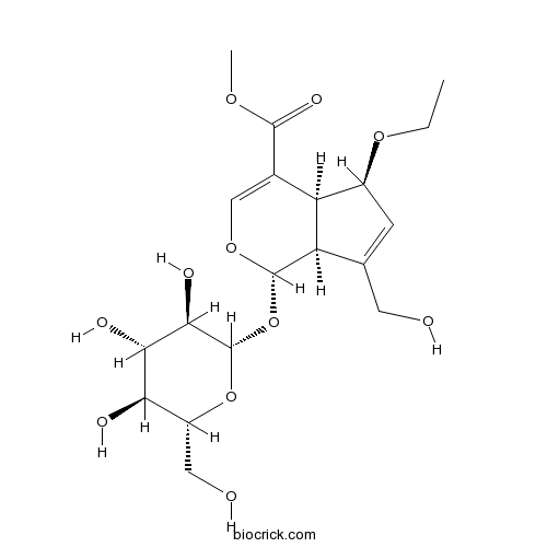 6-Ethoxygeniposide