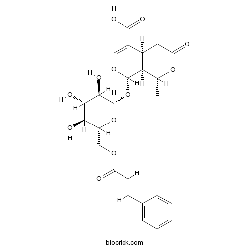 6'-O-反式-肉桂酰 8-表金吉苷酸 