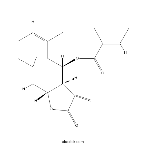 8beta-Tigloyloxycostunolide