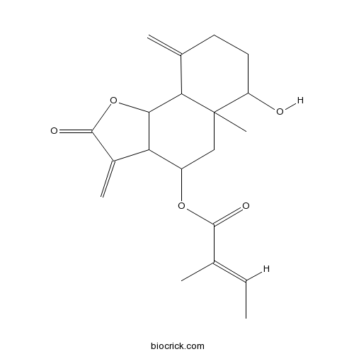 8beta-Tigloyloxyreynosin