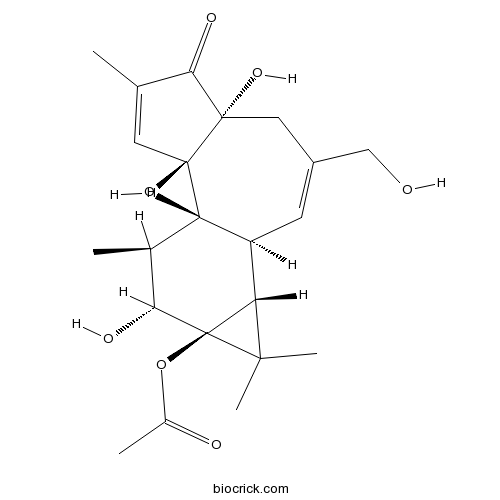 Phorbol 13-acetate