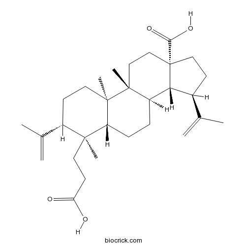 3,4-Secolupa-4(23),20(29)-diene-3,28-dioic acid