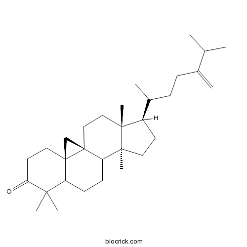 24-Methylenecycloartanone