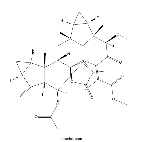 Chlorahololide C