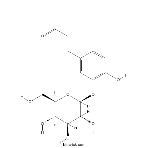 Myzodendrone