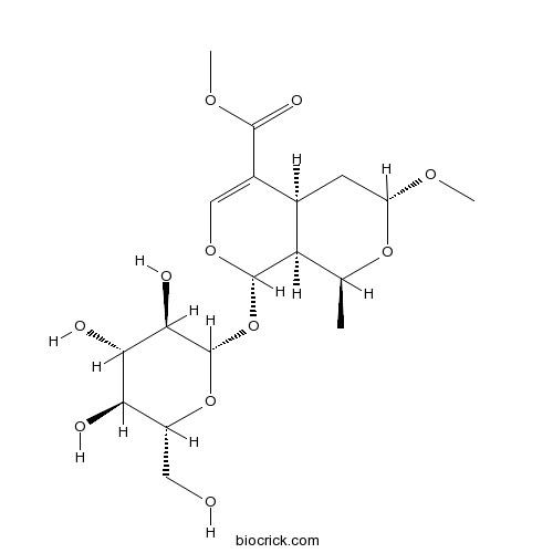 7-O-Methylmorroniside