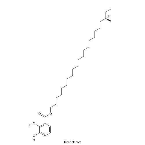 Gentiside B