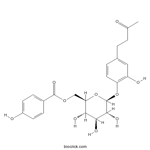 Salviaplebeiaside