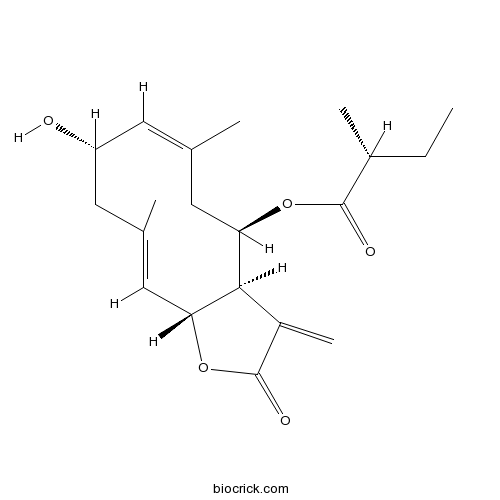 2alpha-羟基-8beta-(2-甲基丁氧基)木香烃内酯