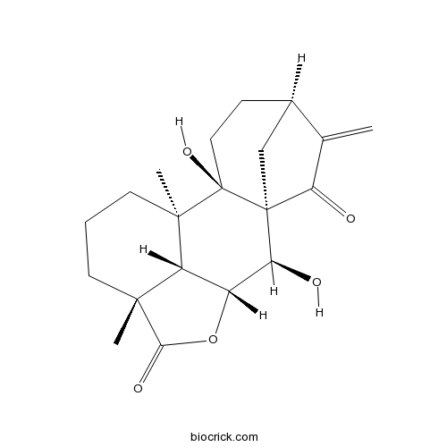 ent-7alpha,9-Dihydroxy-15-oxokaur-16-en-19,6bet-olide