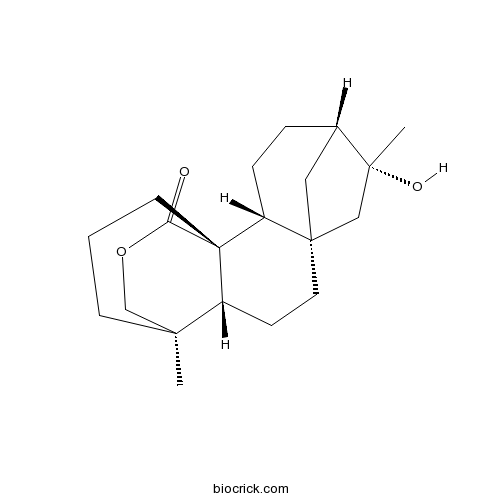 Neotripterifordin