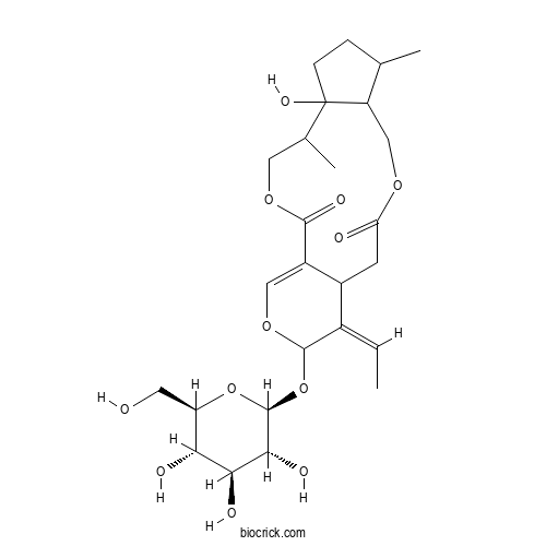 Isojasminin