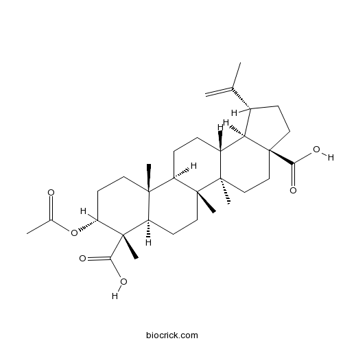 3alpha-Acetoxy-20(29)-lupene-23,28-dioic acid