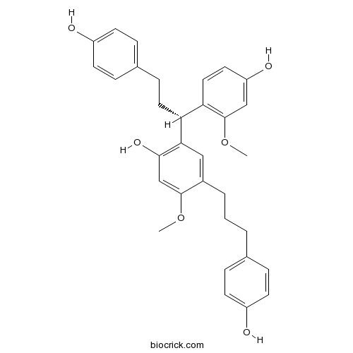 Anemarrhena B