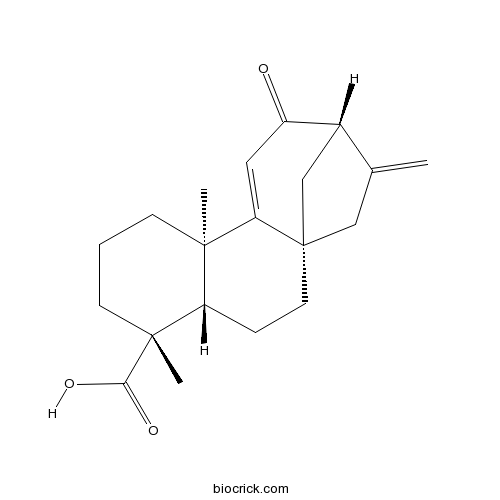 12-Oxograndiflorenic acid