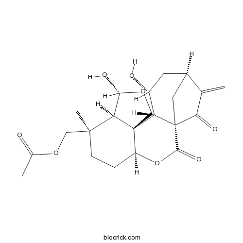 Carpalasionin