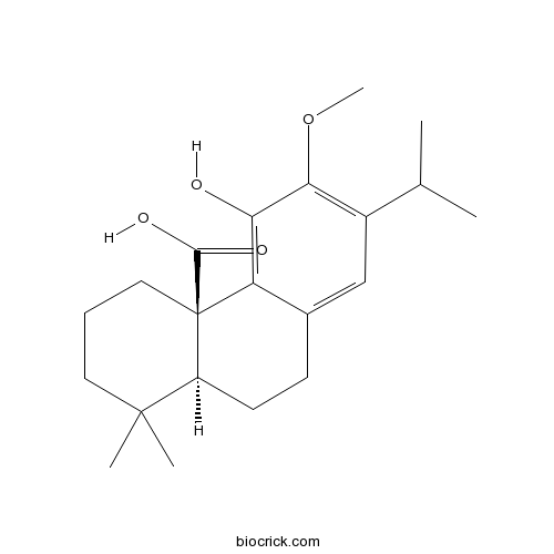 12-O-Methylcarnosic acid