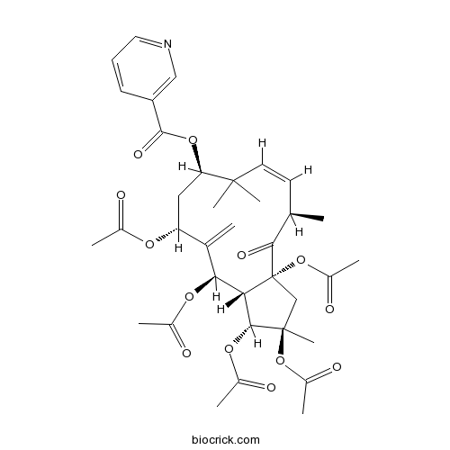 Jatrophane I