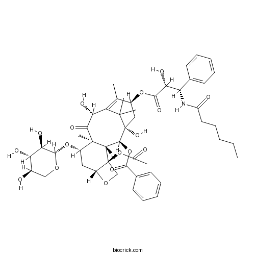 7-Xylosyl-10-deacetyltaxol C