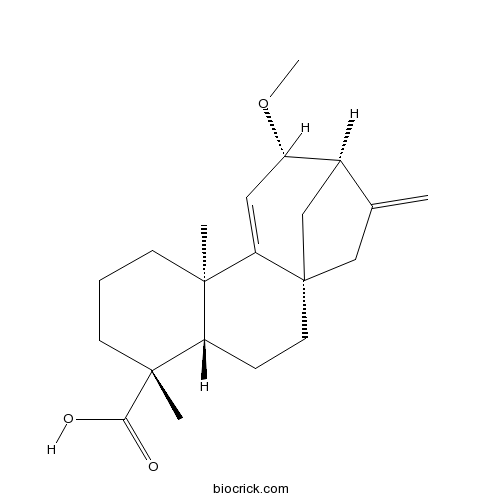 12alpha-Methoxygrandiflorenic acid