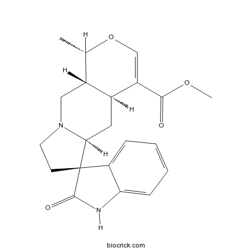 Isomitraphylline