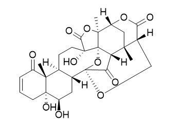 酸浆苦味D