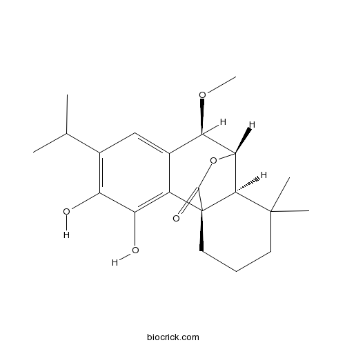 7beta-甲氧基迷迭香酚 