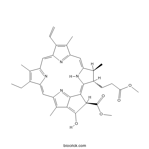 Methylpheophorbide A