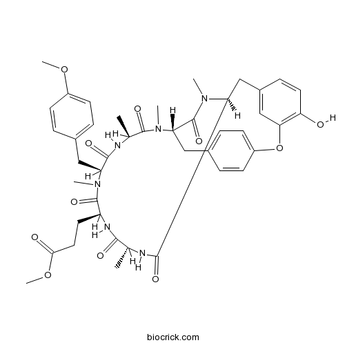 Rubiyunnanin C