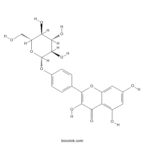 山奈酚-4'-O-β-D-葡萄糖苷