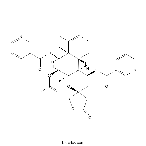 Scutebarbatine J