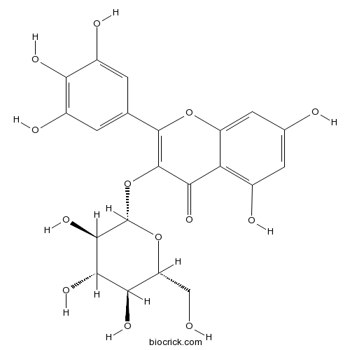 杨梅素-3-O-β-D-葡萄糖苷
