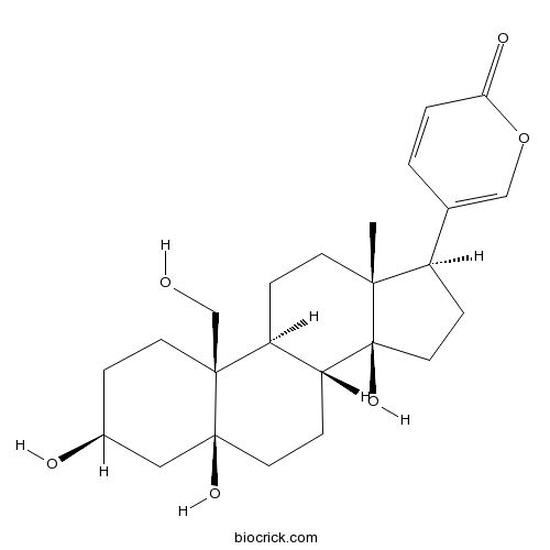 Hellebrigenol