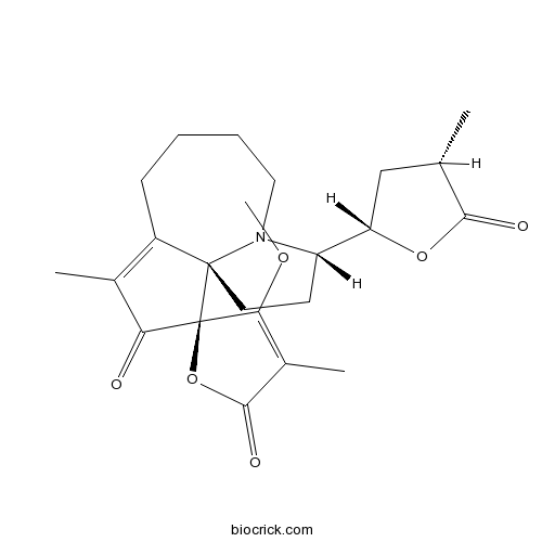 Protostemotinine