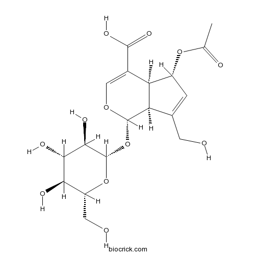 6-O-Acetylscandoside