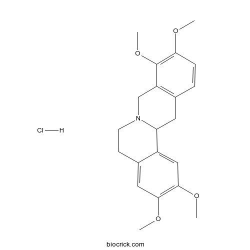 Tetrahydropalmatine Hydrochloride