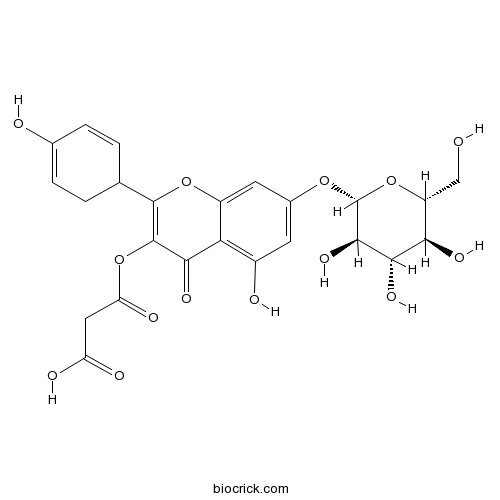 芹菜素7-O-(6”-O-丙二酸单酰)-β-D-葡萄糖苷
