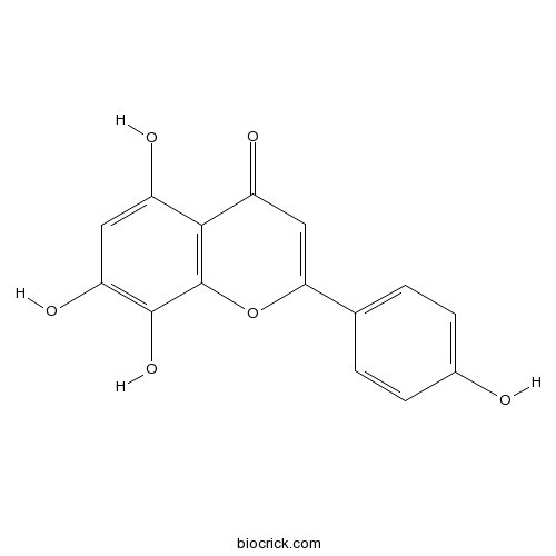 8-Hydroxyapigenin