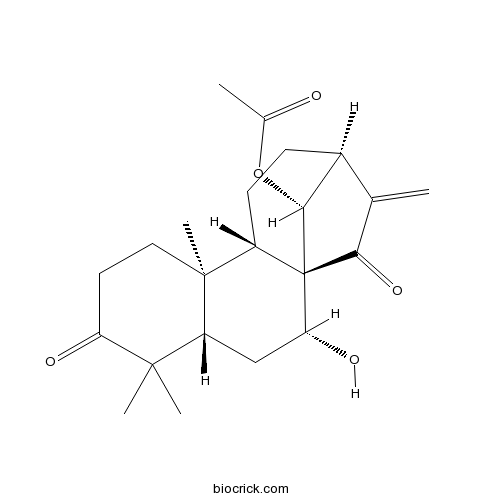 Glaucocalyxin B